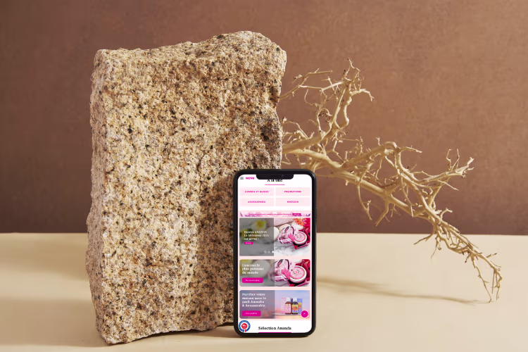 Affichage mobile du site d'ananda avec une pierre et une branche en décoration